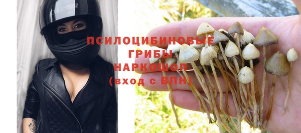 бошки Мегион