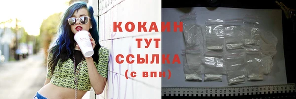 бошки Мегион