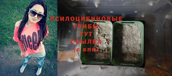 мет Медвежьегорск