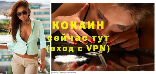 бошки Мегион
