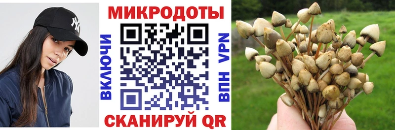 Галлюциногенные грибы Magic Shrooms Купить закладки Котлас